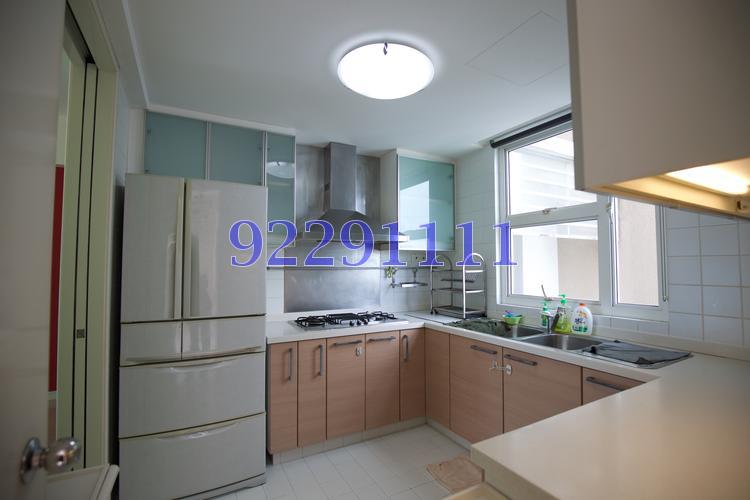 Dahlia Park Condominium (D17), Condominium #76351052
